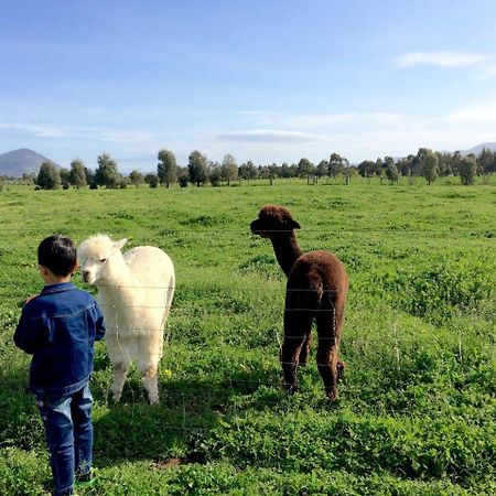 Taras Richmond Farmstay Campania ภายนอก รูปภาพ