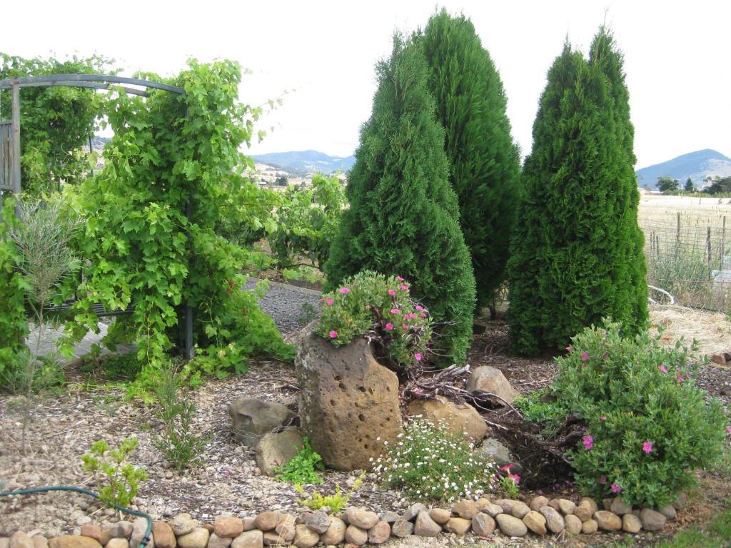 Taras Richmond Farmstay Campania ภายนอก รูปภาพ