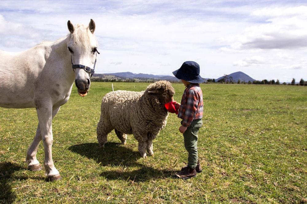 Taras Richmond Farmstay Campania ภายนอก รูปภาพ