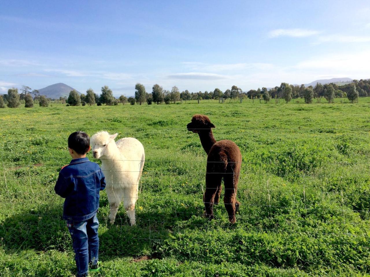 Taras Richmond Farmstay Campania ภายนอก รูปภาพ